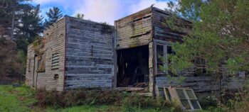 Abandoned House on Coast Road - 2025 - © wainuiomata.net
