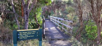 Nga Taonga Nature Walk in Wainuiomata - 2025 - © wainuiomata.net
