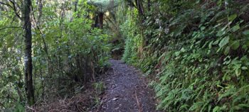 Nga Taonga Nature Walk in Wainuiomata - 2025 - © wainuiomata.net
