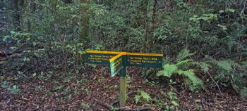 Nga Taonga Nature Walk direction signs - 2025 - © wainuiomata.net