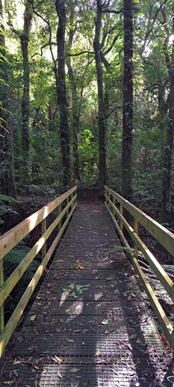 Bridge on the Nga Taonga Nature Walk - 2025 - © wainuiomata.net