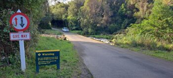 Ford on Catchpool Road & Catchpool Stream - 2025 - © wainuiomata.net