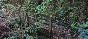 Bridge on the Nga Taonga Nature Walk - 2025 - © wainuiomata.net