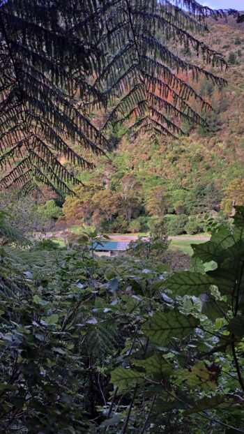 View looking down Catchpool Valley from the Nga Taonga Nature Walk - 2025 - © wainuiomata.net