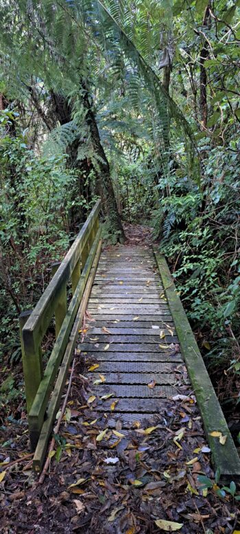 Bridge on the Nga Taonga Nature Walk - 2025 - © wainuiomata.net