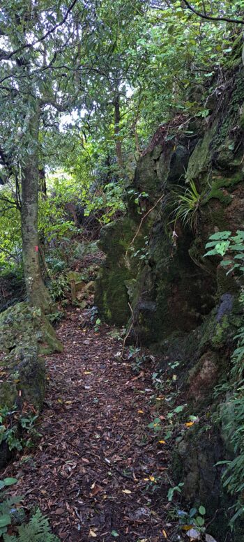 Nga Taonga Nature Walk - 2025 - © wainuiomata.net
