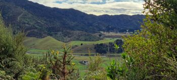 Farmland down the Coast Road in Wainuiomata - 2025 - © wainuiomata.net