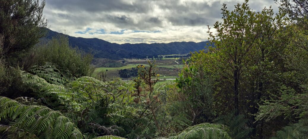 Farmland down the Coast Road in Wainuiomata - 2025 - © wainuiomata.net