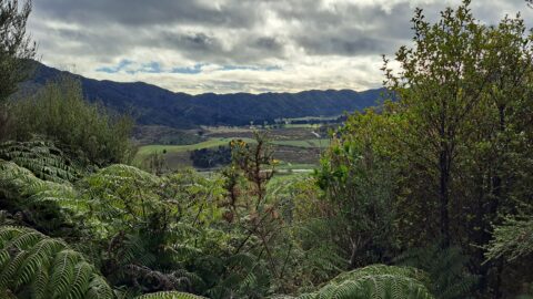 Farmland down the Coast Road in Wainuiomata - 2025 - © wainuiomata.net