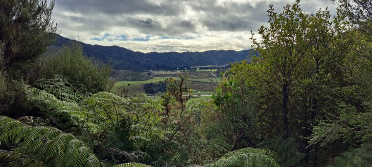 Farmland down the Coast Road in Wainuiomata - 2025 - © wainuiomata.net