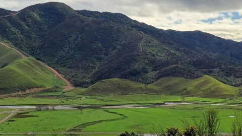 Farmland below Sugarloaf Mountain in Wainuiomata - 2025 - © wainuiomata.net