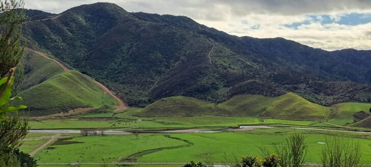 Farmland below Sugarloaf Mountain in Wainuiomata - 2025 - © wainuiomata.net