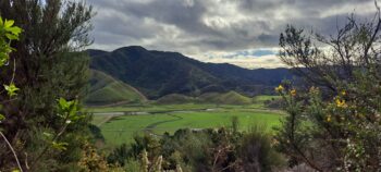Farmland down the Coast Road in Wainuiomata - 2025 - © wainuiomata.net