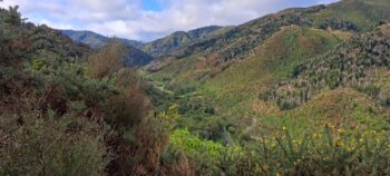 Catchpool Valley - 2025 - © wainuiomata.net