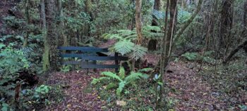 Nga Taonga Nature Walk - 2025 - © wainuiomata.net