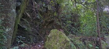 Nga Taonga Nature Walk - 2025 - © wainuiomata.net