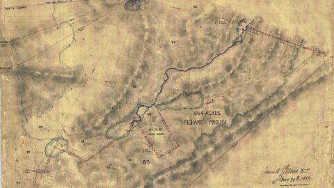 Block 5 Pencarrow Map - c1883