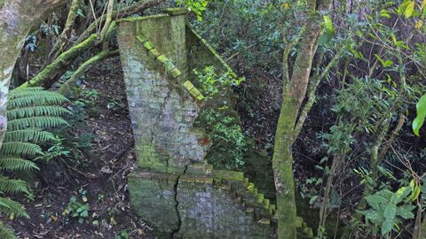 Waiwhetu Tunnel Entrance, Wainuiomata - 2025 - © wainuiomata.net