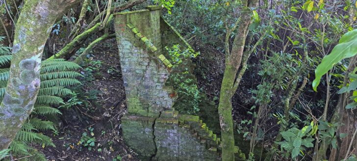 Waiwhetu Tunnel Entrance, Wainuiomata - 2025 - © wainuiomata.net