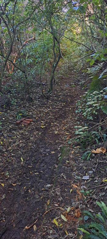 Waiwhetu Tunnel Track, Wainuiomata - 2025 - © wainuiomata.net
