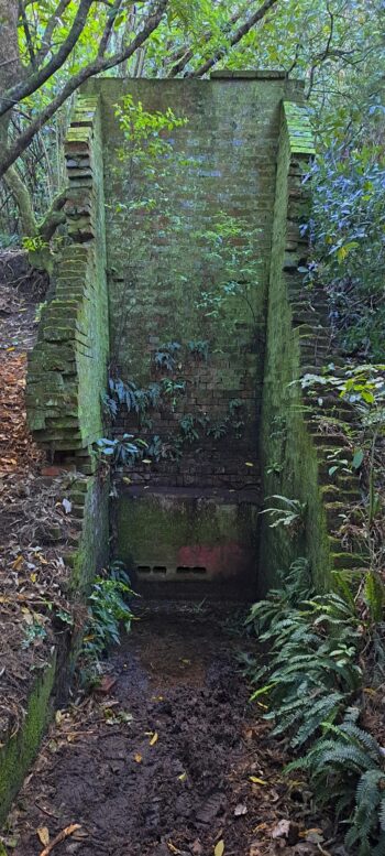 Waiwhetu Tunnel Entrance, Wainuiomata - 2025 - © wainuiomata.net
