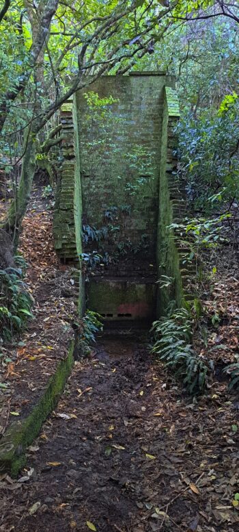 Waiwhetu Tunnel Entrance & Track in Wainuiomata - 2025 - © wainuiomata.net