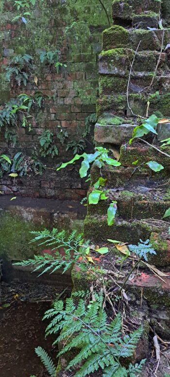 Waiwhetu Tunnel Abutment, Wainuiomata - 2025 - © wainuiomata.net