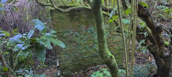 Waiwhetu Tunnel Entrance Back Wall, Wainuiomata - 2025 - © wainuiomata.net