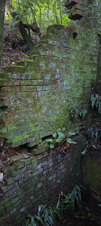 Waiwhetu Tunnel Abutment in Wainuiomata - 2025 - © wainuiomata.net