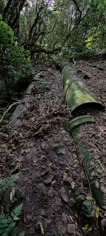 Pipes at Waiwhetu Tunnel Site, Gracefield - 2025 - © wainuiomata.net