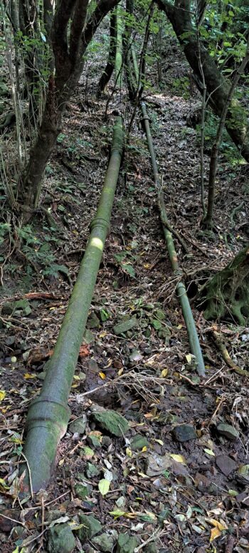 Pipes at Waiwhetu Tunnel Site, Gracefield - 2025 - © wainuiomata.net