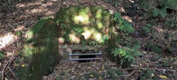 Waiwhetu Tunnel Exit, Gracefield - 2025 - © wainuiomata.net