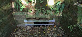 Waiwhetu Tunnel Exit, Gracefield - 2025 - © wainuiomata.net