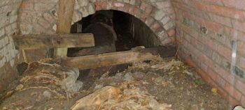 Waiwhetu Tunnel Exit, Gracefield - 2025 - © wainuiomata.net