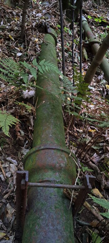 Waiwhetu Tunnel Exit Pipe, Gracefield - 2025 - © wainuiomata.net