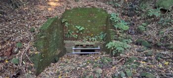 Waiwhetu Tunnel Exit, Gracefield - 2025 - © wainuiomata.net