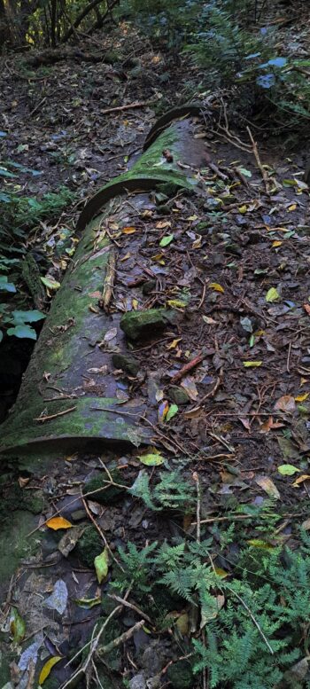 Waiwhetu Tunnel Exit Pipe, Gracefield - 2025 - © wainuiomata.net