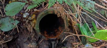 Waiwhetu Tunnel Exit Drainage Pipe, Gracefield - 2025 - © wainuiomata.net