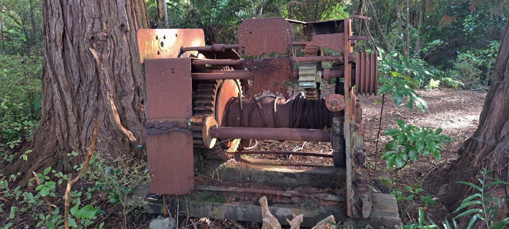 Skidder on the Tawa Grove Walk - 2025 - © wainuiomata.net
