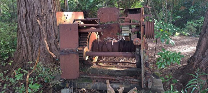 Skidder on the Tawa Grove Walk - 2025 - © wainuiomata.net