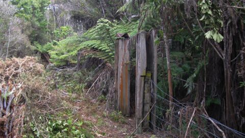 Gate Near Dick's Hill - © Jeremy Foster