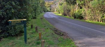 Tawa Grove Walk entrance- 2025 - © wainuiomata.net