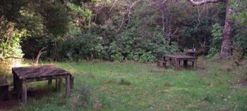 Tawa Grove Walk - 2025 - © wainuiomata.net