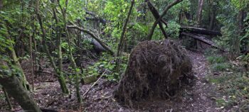 Link track between Catchpool Information Centre and DOC property - 2025 - © wainuiomata.net