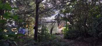 DOC site near Catchpool - 2025 - © wainuiomata.net