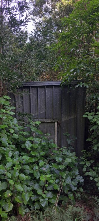 Old shed near Catchpool - 2025 - © wainuiomata.net