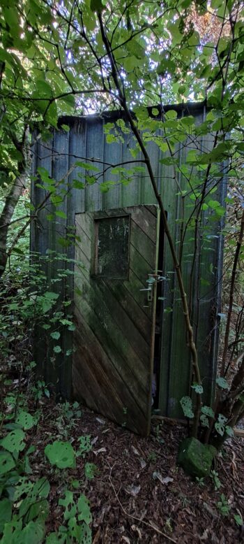Old shed near Catchpool - 2025 - © wainuiomata.net