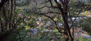 Hair Street Ridge - 2025 - © wainuiomata.net