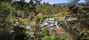 View of Hair Street from a ridge - 2025 - © wainuiomata.net