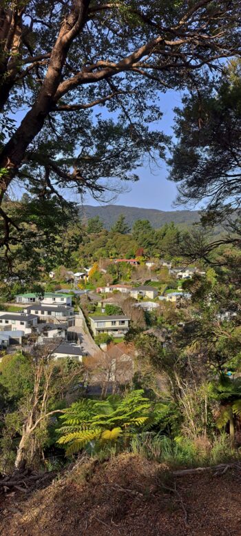 Looking down toward Hair Street from Hair Street Ridge - 2025 - © wainuiomata.net